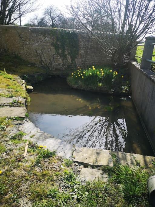 Spacieux Et Chaleureux * Sainte-Mere-Eglise